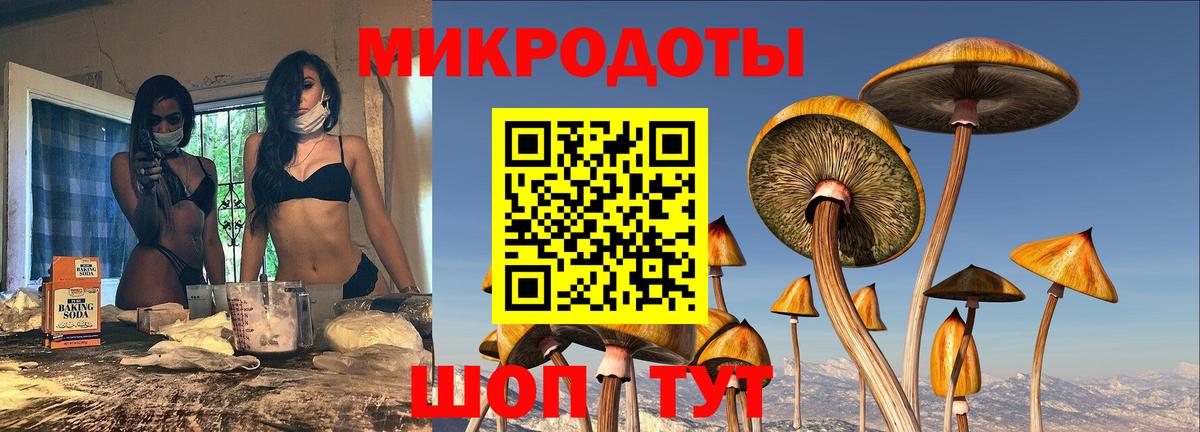 Псилоцибиновые грибы мухоморы Славгород